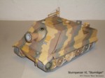Sturmpanzer VI (09).JPG

73,75 KB 
1024 x 768 
27.02.2011
